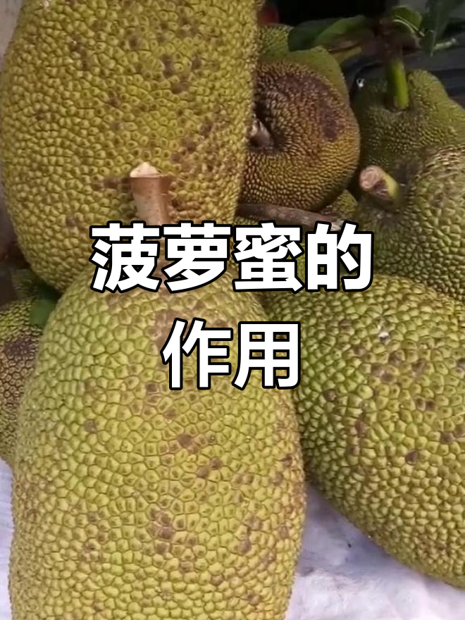 菠萝蜜的营养功效与禁忌
