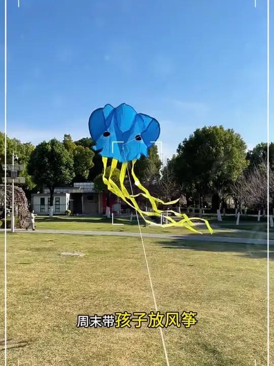 春天到了可以多带孩子出门放放风筝,选择 美乐童年 这个小章鱼风筝孩子自己就可以放起来,让孩