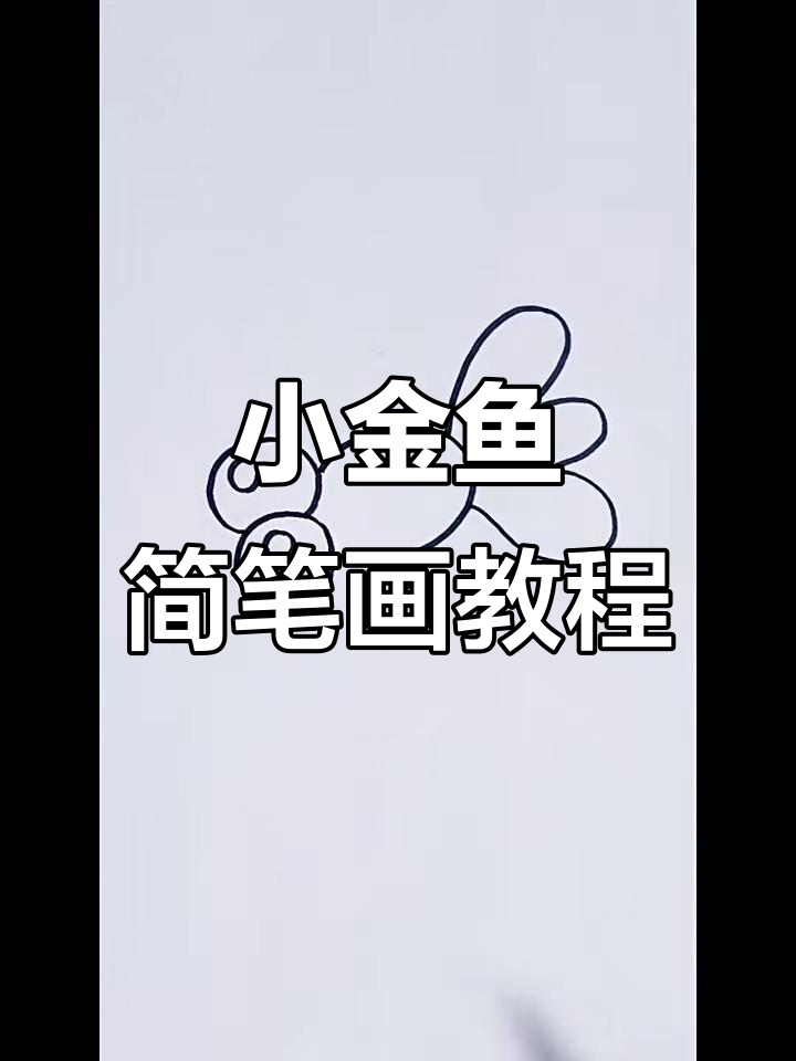 轻松学画可爱小金鱼,简单步骤教你画出胖乎乎的鱼身和三瓣尾巴