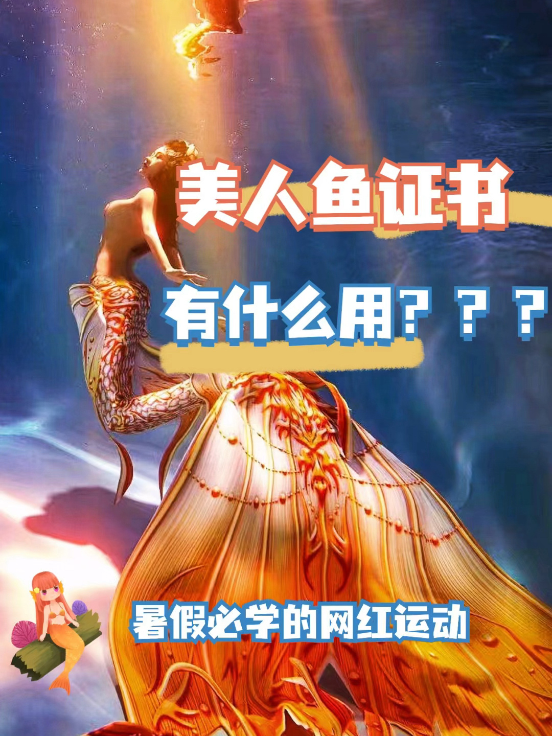 美人鱼证书有什么用?