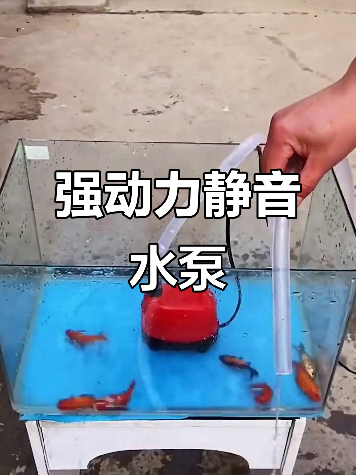 静音潜水泵,鱼缸换水更轻松