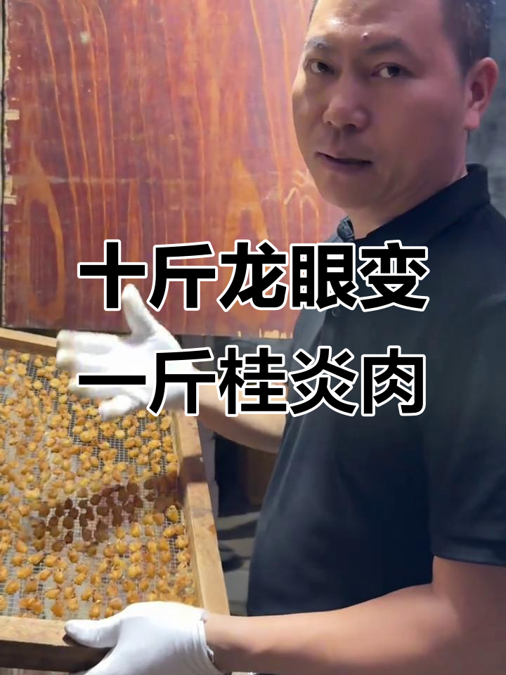 博白桂圆:从龙眼到固原肉的神奇转变