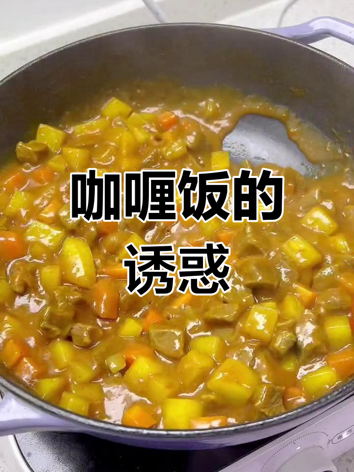 儿子最爱咖喱饭,今天做了土豆牛肉,全吃光了!