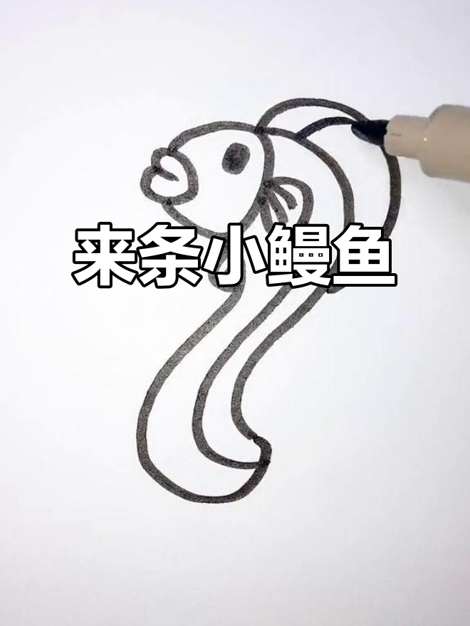 画一条可爱的鳗鱼，简单又有趣！