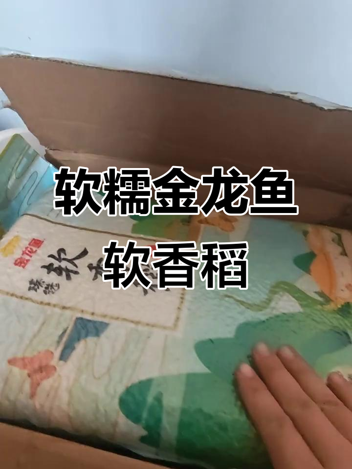 金龙鱼软香稻,口感超赞!真空包装无芯保鲜更方便