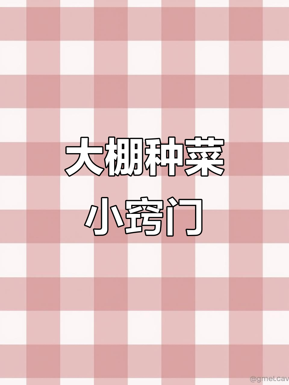 大棚蔬菜种植技巧,助农增产秘诀