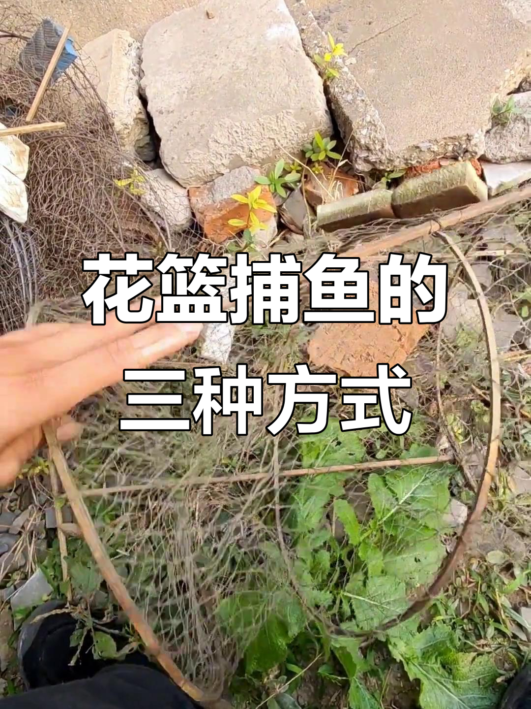 花篮捕鱼技巧大揭秘:三种漂浮物模式哪种最有效?