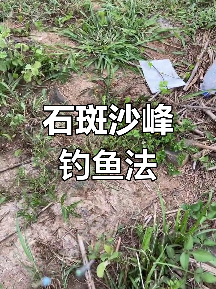 钓石斑与沙峰,逗钓技巧大揭秘
