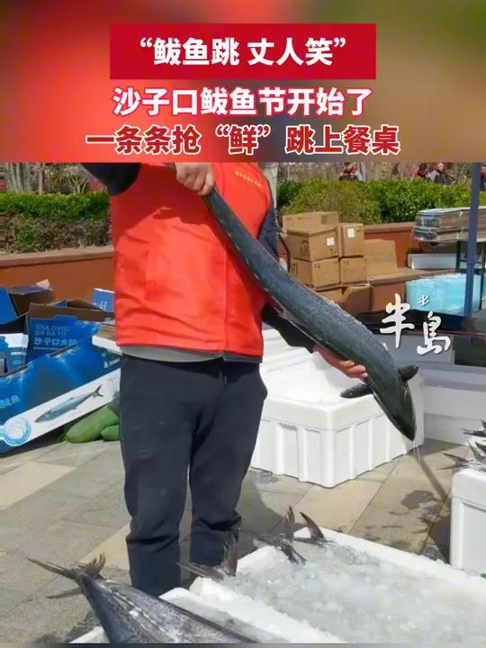 “鲅”气十足!沙子口鲅鱼节开幕,“鲜”声夺人(半岛全媒体记者:刘雪莲 编辑:张小宇)