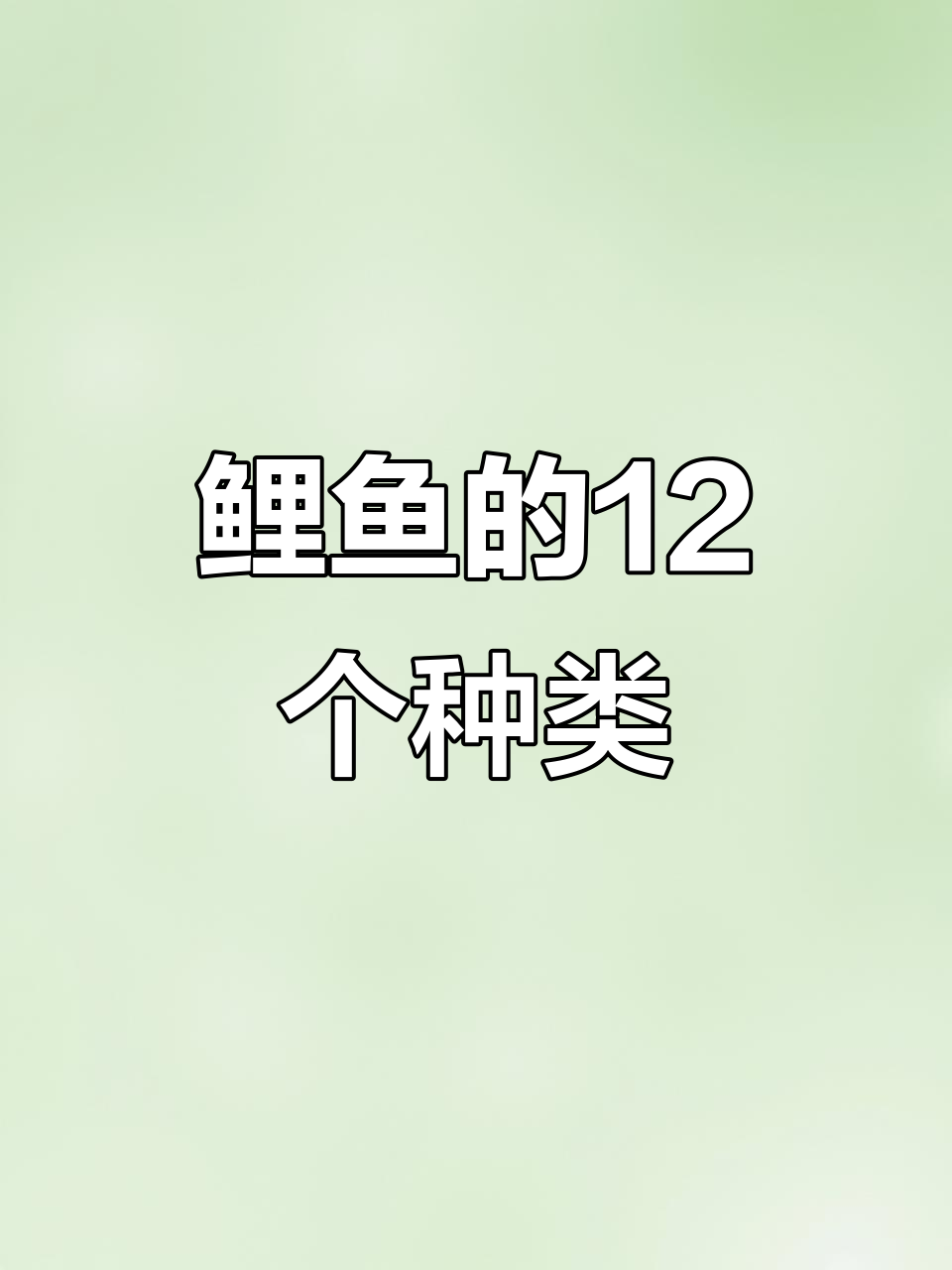 鲤鱼12种品种大揭秘,钓鱼爱好者必看!