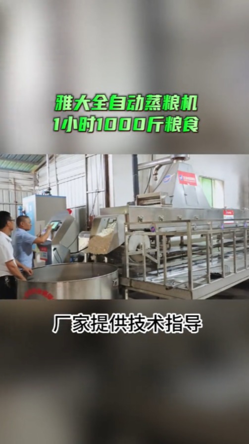 全自动酿酒设备蒸饭机,每小时生产1000斤粮食