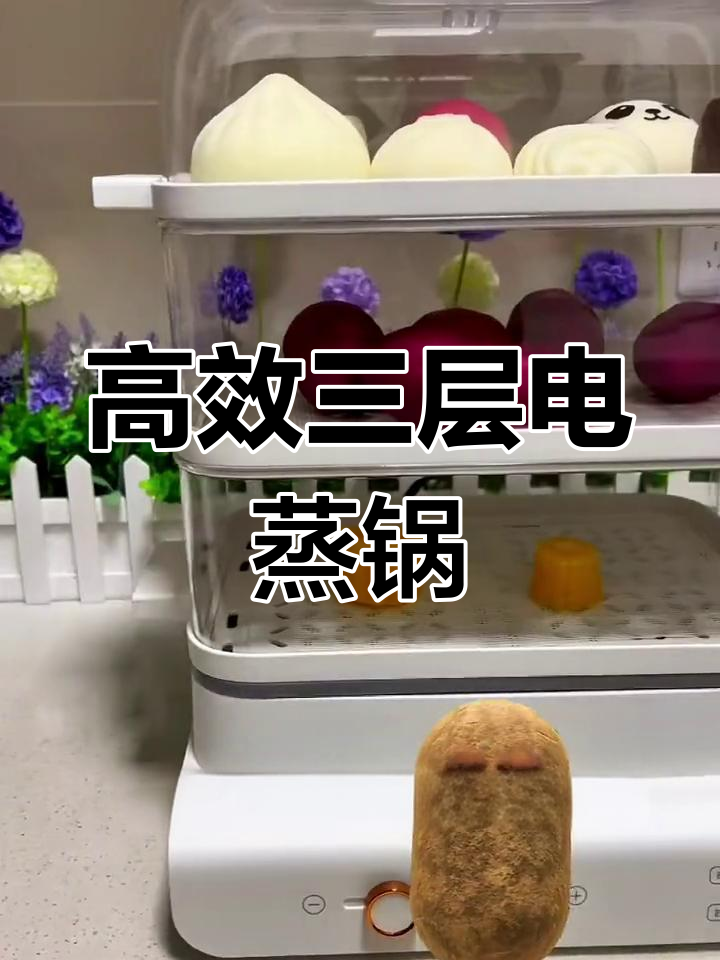 三层透明电蒸锅,早餐轻松搞定!