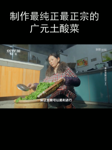 制作最纯正最正宗的广元土酸菜
