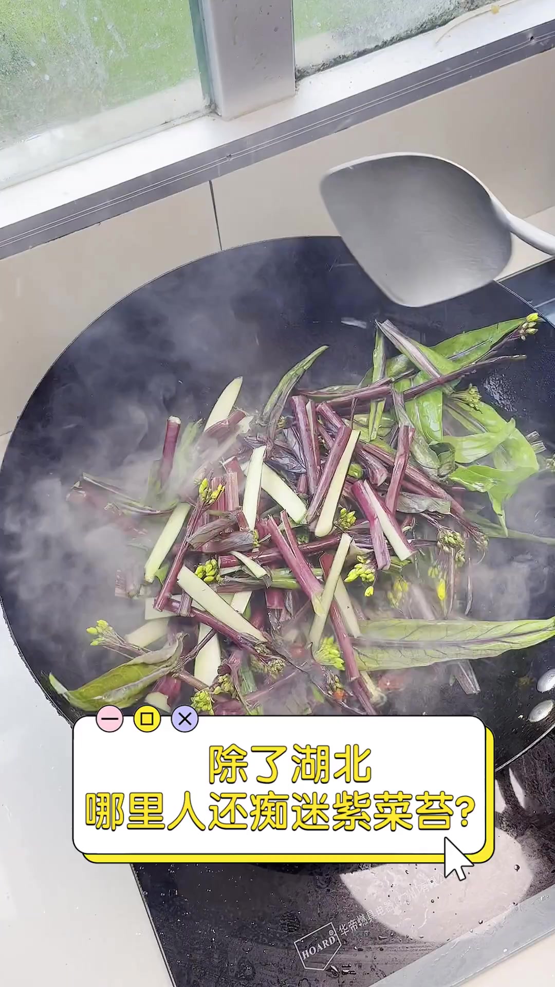除了湖北,哪里人还痴迷紫菜苔?