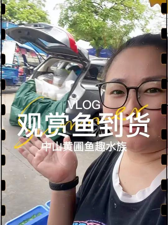 又是周五观赏鱼回货日,忙忙碌碌的开启摸鱼抓鱼的 小日常~