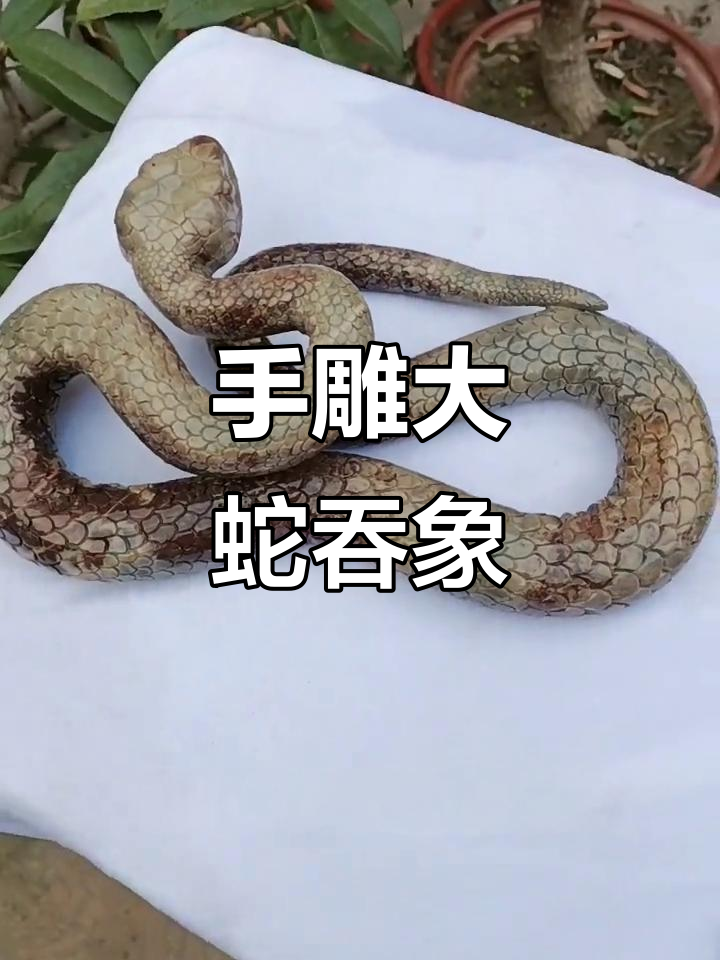 手工雕刻巨蛇,身长绕昆仑!