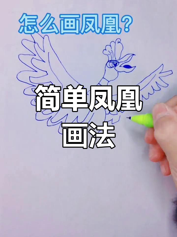 凤凰简笔画教程,轻松画出神奇宝贝
