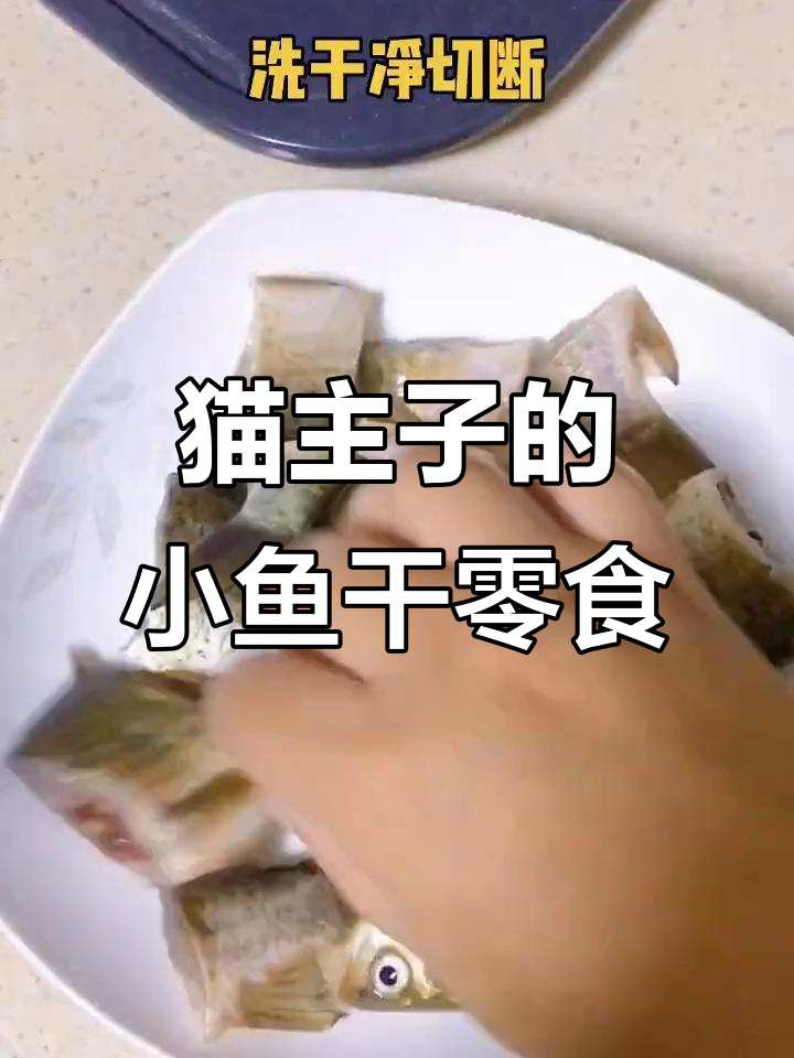 自制小鱼干,猫咪吃得开心又健康