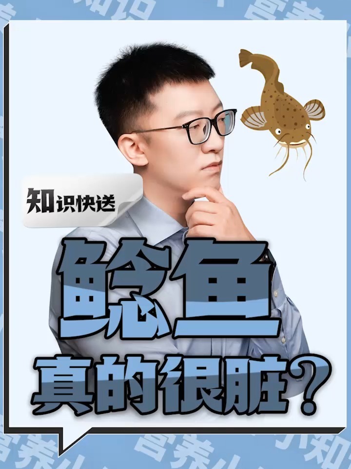 鲶鱼,吃屎长大的?真有!但是别担心……
