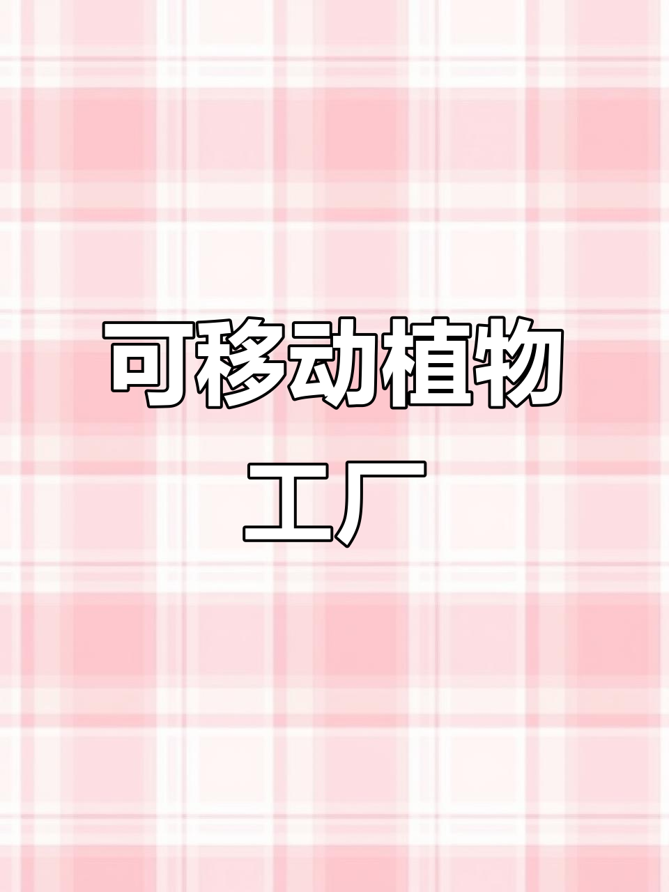 沙漠海岛也能种菜，集装箱式无土栽培让绿色蔬菜不再遥远