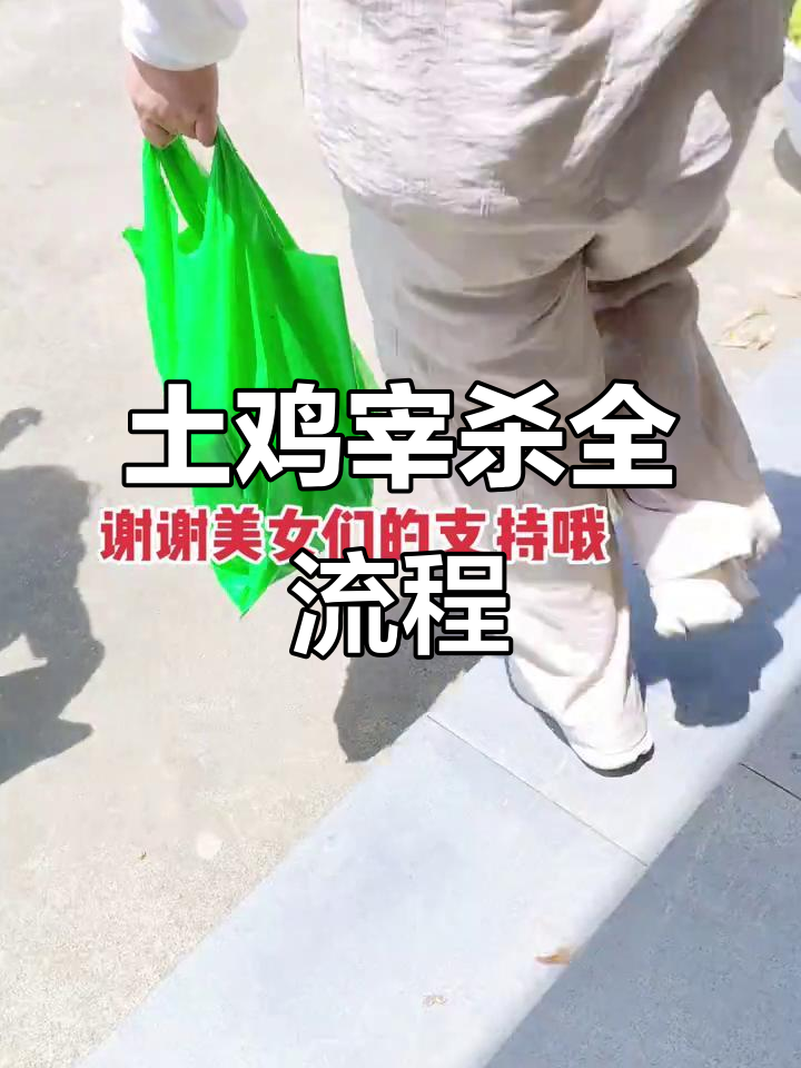 土鸡一条龙服务,杀好剖净新鲜到家