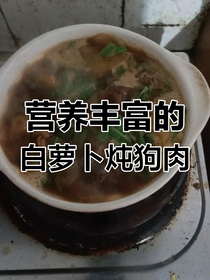 白萝卜炖狗肉的营养价值与美味体验
