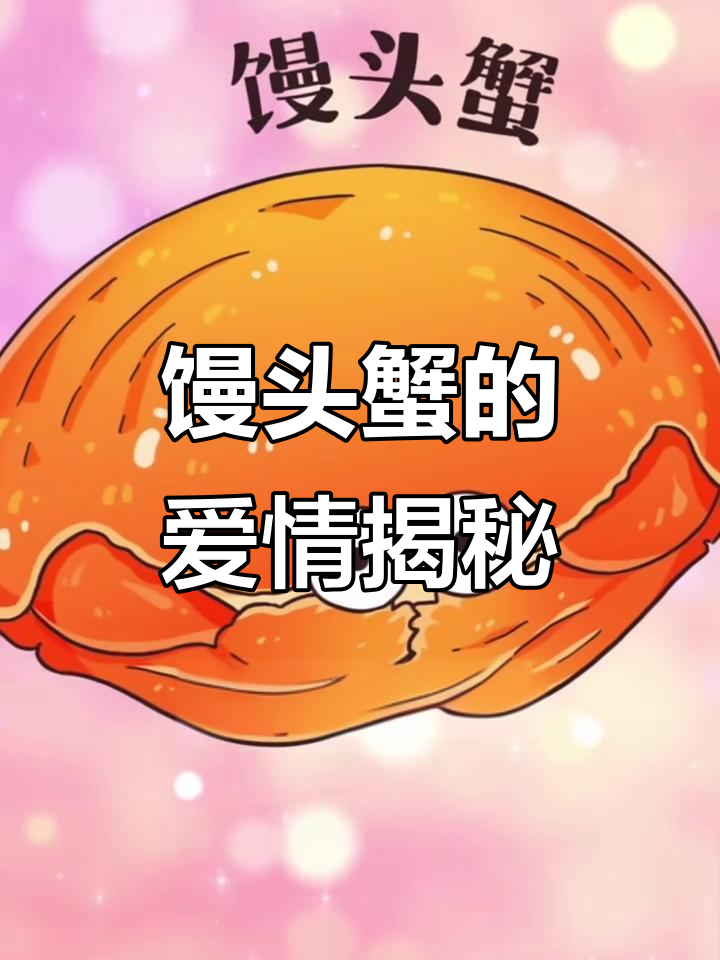 馒头蟹爱老婆?真相竟是这样!