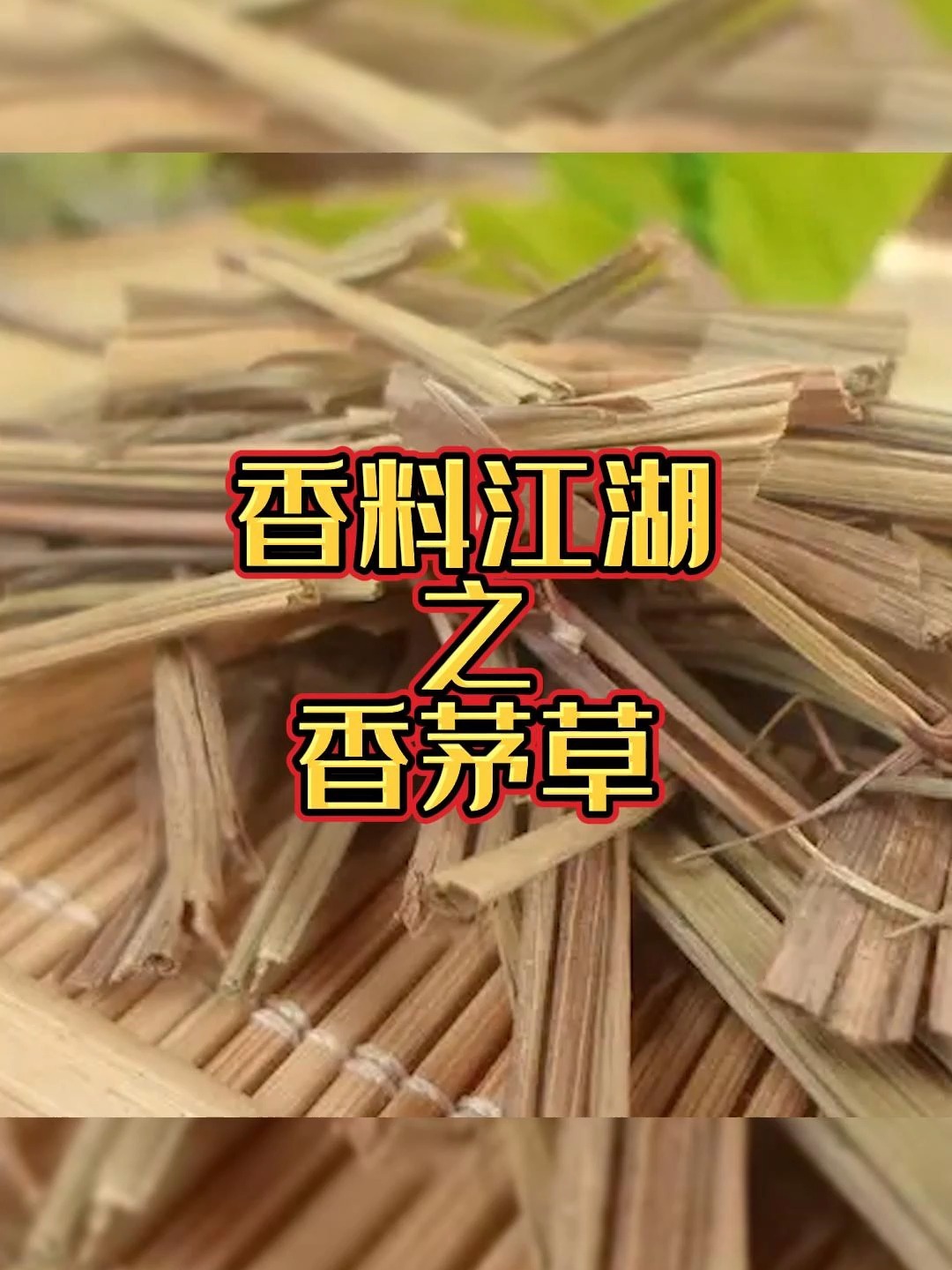 不可或缺的香料 香茅草