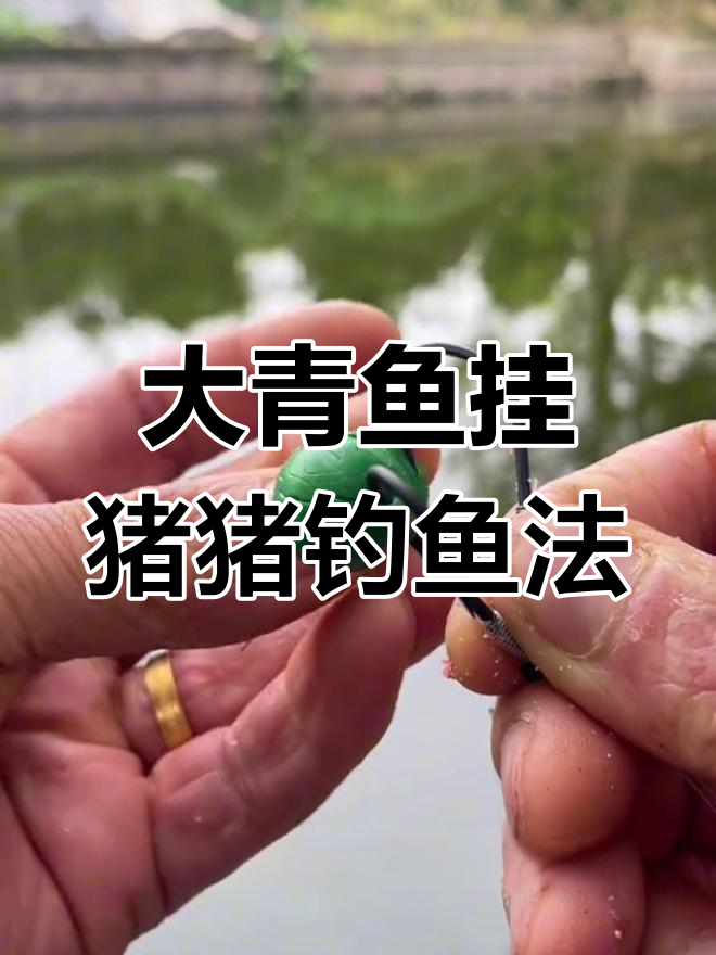 珠珠钓青鱼技巧,避免脱钩跑鱼