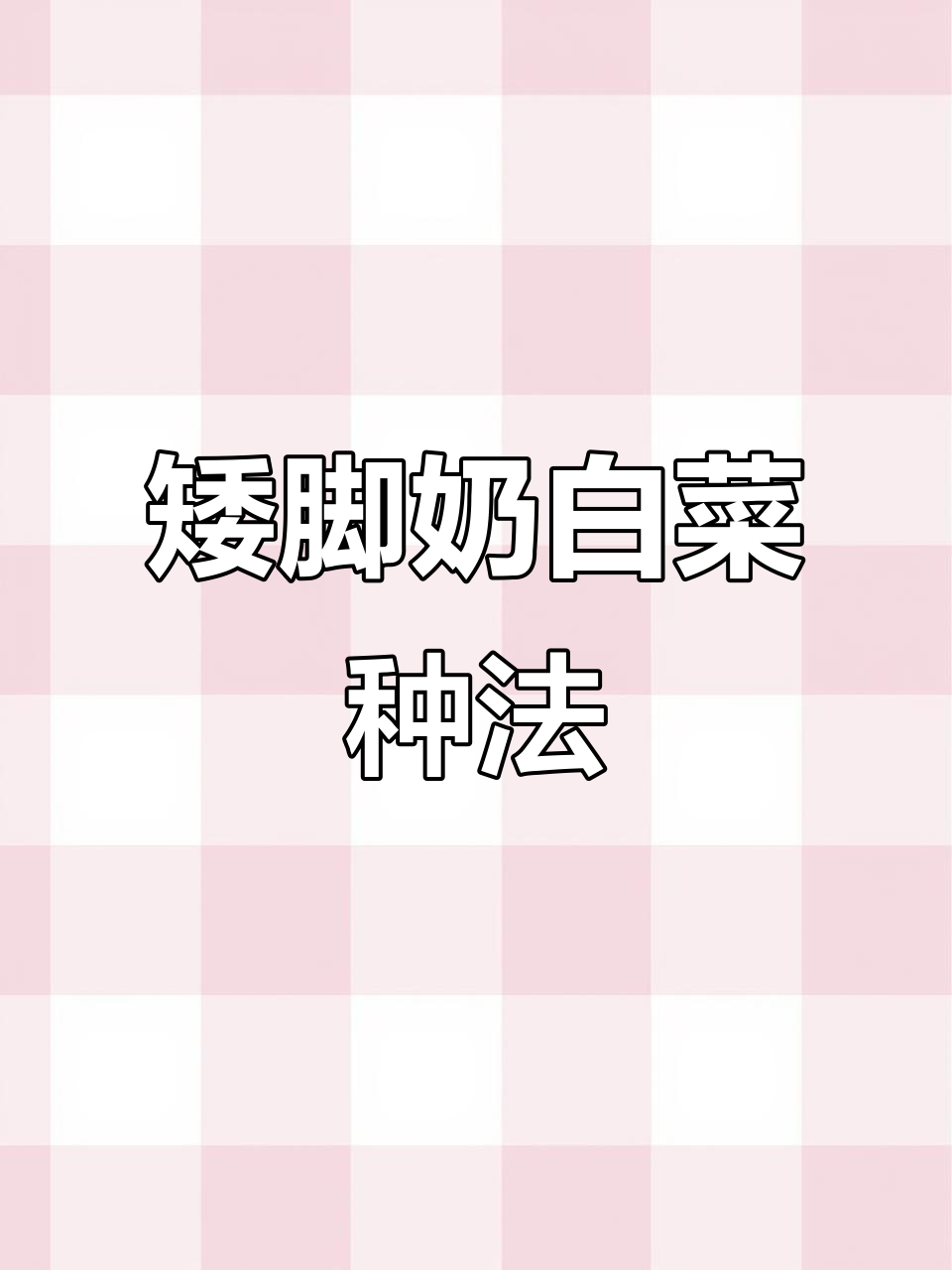3月矮脚奶白菜高效种植技巧,轻松掌握