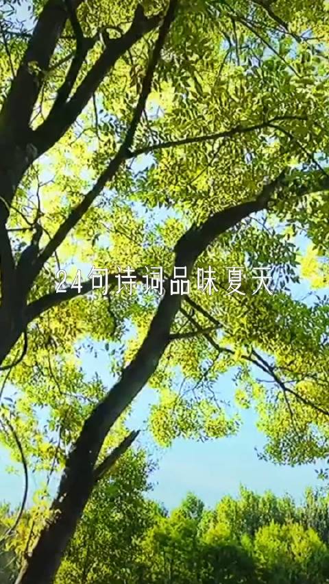 古人笔下的夏,有“鱼戏莲叶间”的生机,有“绿树阴浓夏日长”的热烈,更有“蝉噪林逾静,鸟鸣山