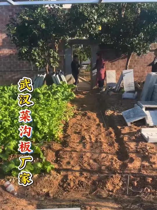 救命!武汉这家小院的菜沟板也太会了吧 谁懂啊!漂亮的小院就该配靠谱的水泥菜沟板～今天在武汉