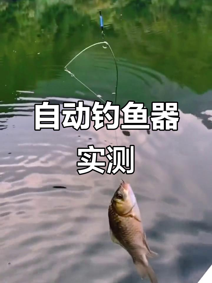 自动钓鱼神器,轻松钓上鱼!