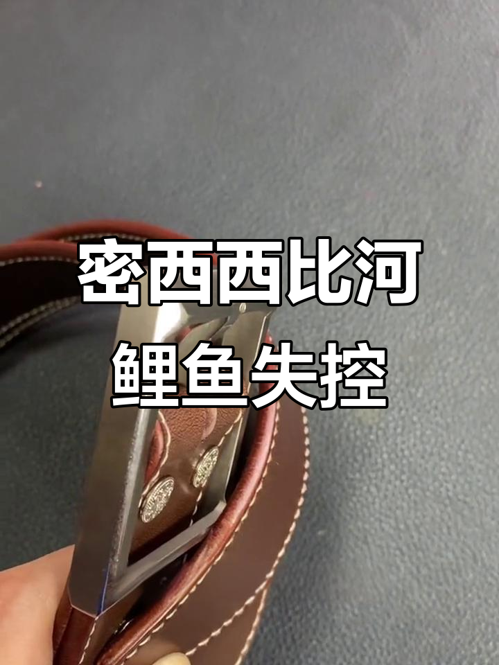 1970年密西西比河鲤鱼泛滥,生态告急