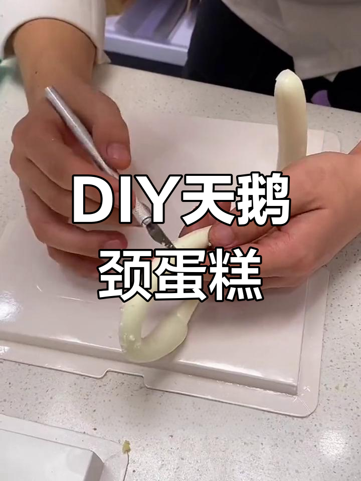 手工制作小天鹅生日蛋糕