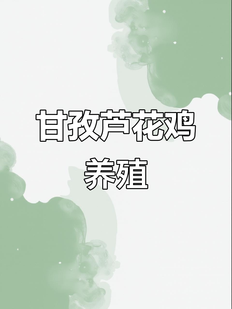 甘孜州芦花鸡养殖基地,呼吸道疾病防控全攻略