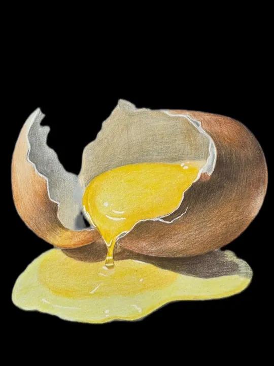 简单鸡蛋画法 零基础学习