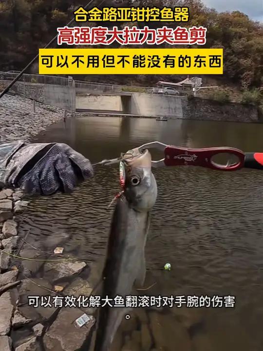 可以不用但不能没有的东西 控鱼器 渔具用品 LY-N
