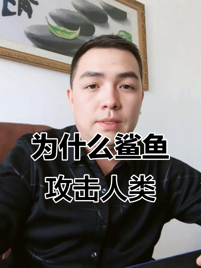 鲨鱼为何咬人？了解背后的真相