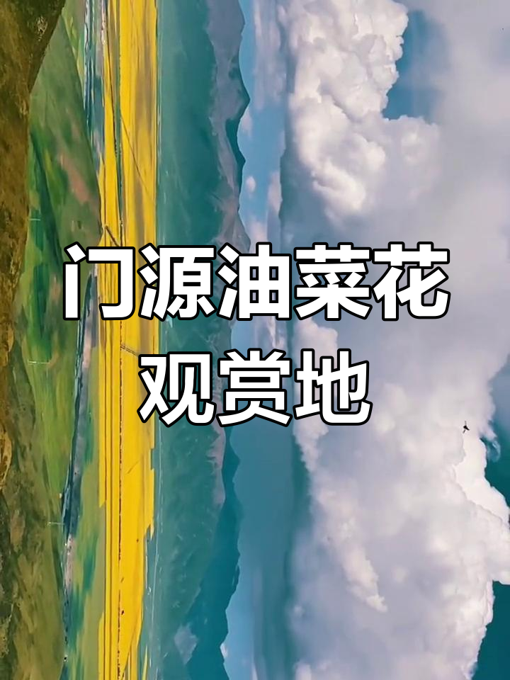 青海门源油菜花最佳观赏地,达坂山观景台等你来探秘