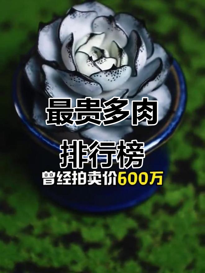 揭秘最昂贵的多肉植物,拍卖价惊人!