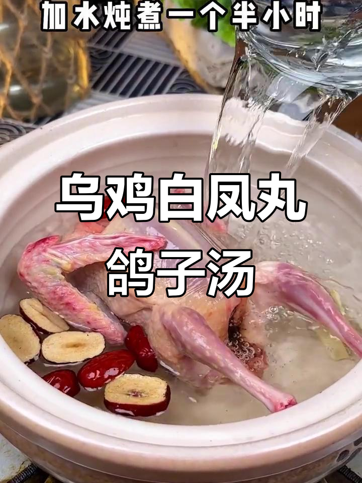 广东经典乌鸡白凤丸鸽子汤,滋补美容又美味