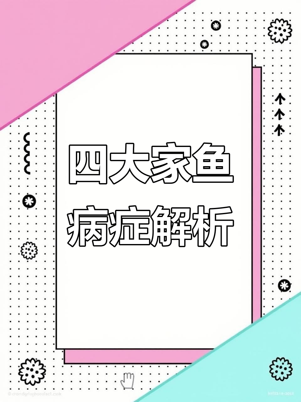 鱼病频发，四大家鱼的常见问题与防治方法