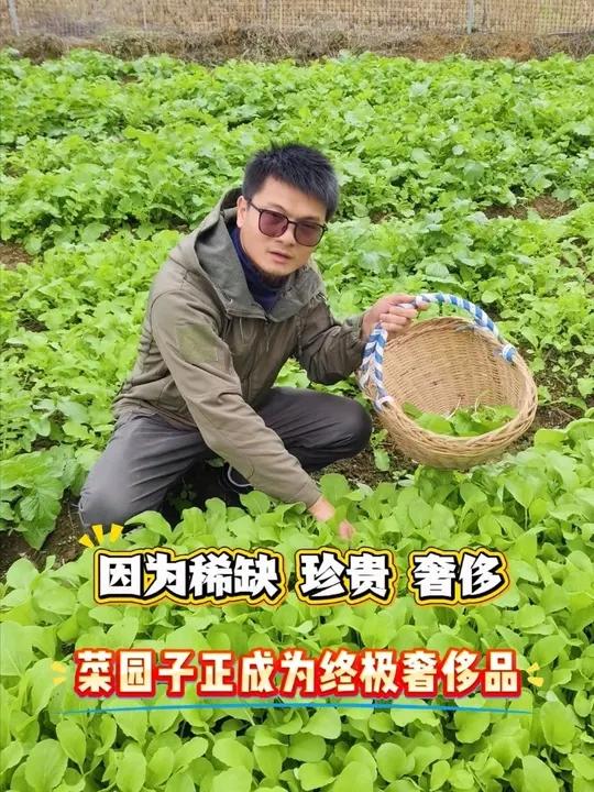 你以为我在村里过的很惨 菜园子正成为这个时代的,终极奢侈品,它稀缺是因为在满是高楼的城市里
