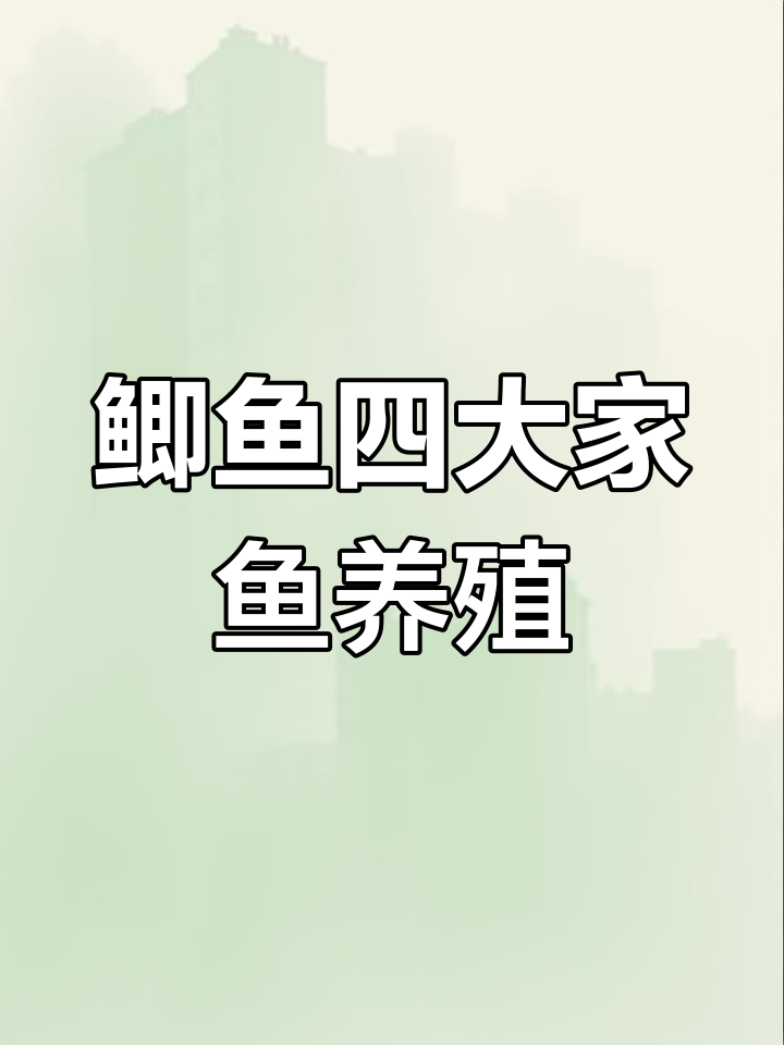 四大家鱼养殖与钓场配送,专业批发鱼苗服务