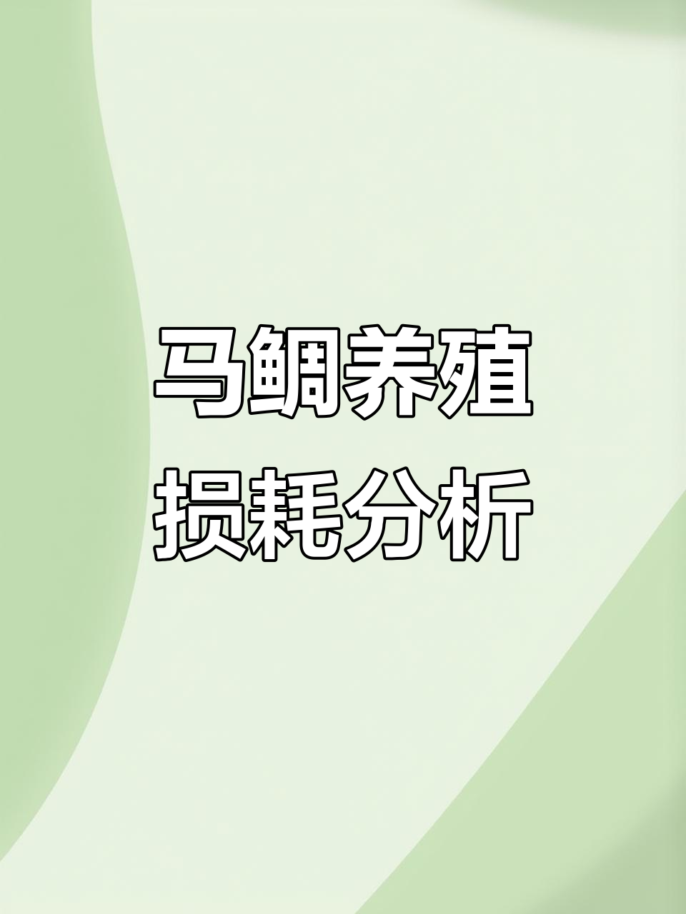 从苗子到成鱼,马鲷养殖的损耗与挑战