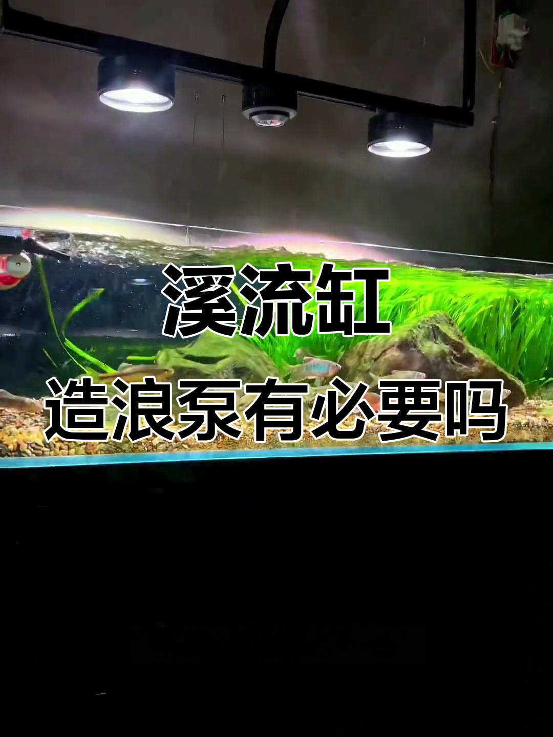 溪流缸造浪泵安装技巧与作用解析