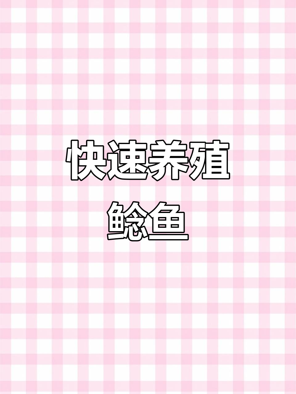 鲶鱼生长迅速,南方北方皆可养,一亩能达6000尾