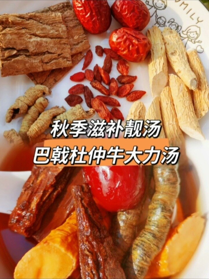秋季滋补靓汤|巴戟杜仲牛大力强筋骨补肾汤