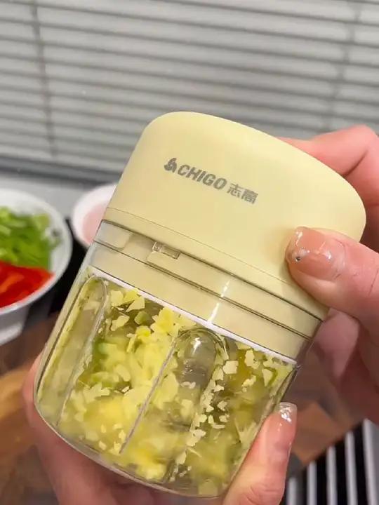 志高电动料理机蒜泥器搅碎机绞肉机小型辅食多功能家用搅拌机无线打蒜器好物推荐志高电动料理机好